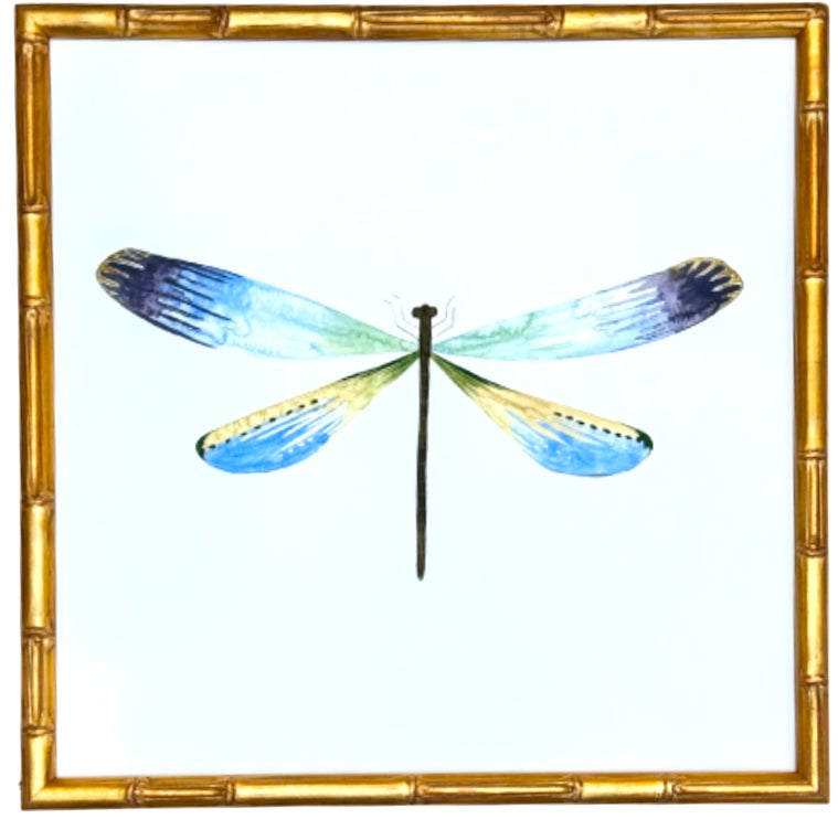 Dragonfly no.5