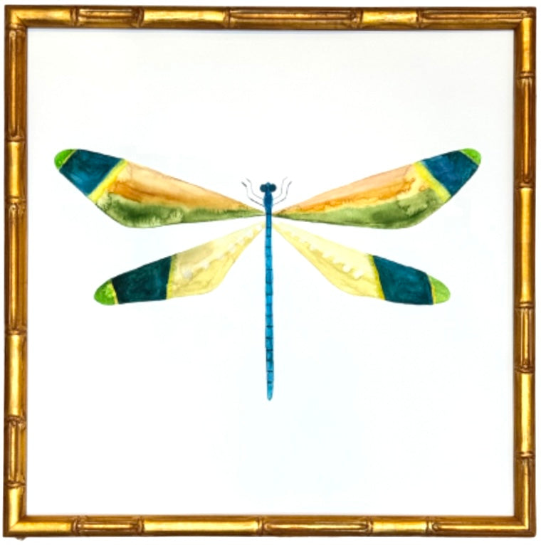 Dragonfly no.9