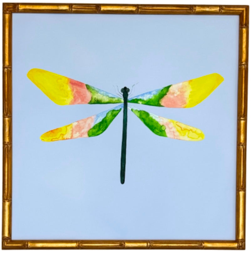 Colorful Dragonfly no.4