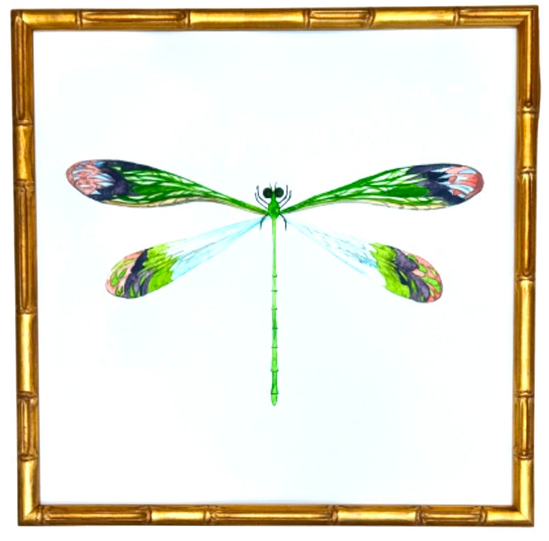 Dragonfly no.8