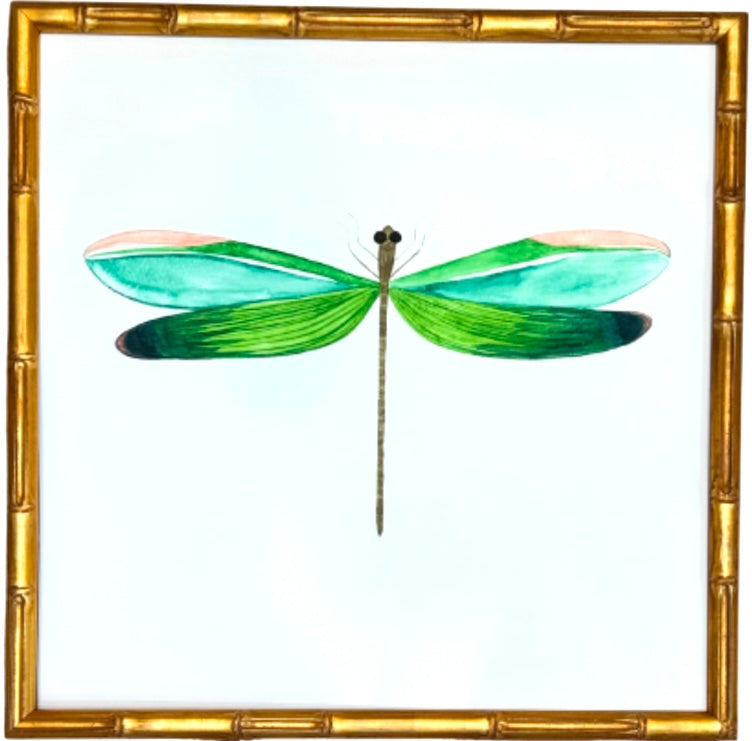 Dragonfly no.7