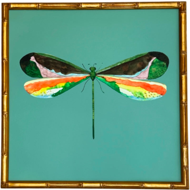 Colorful Dragonfly no.3