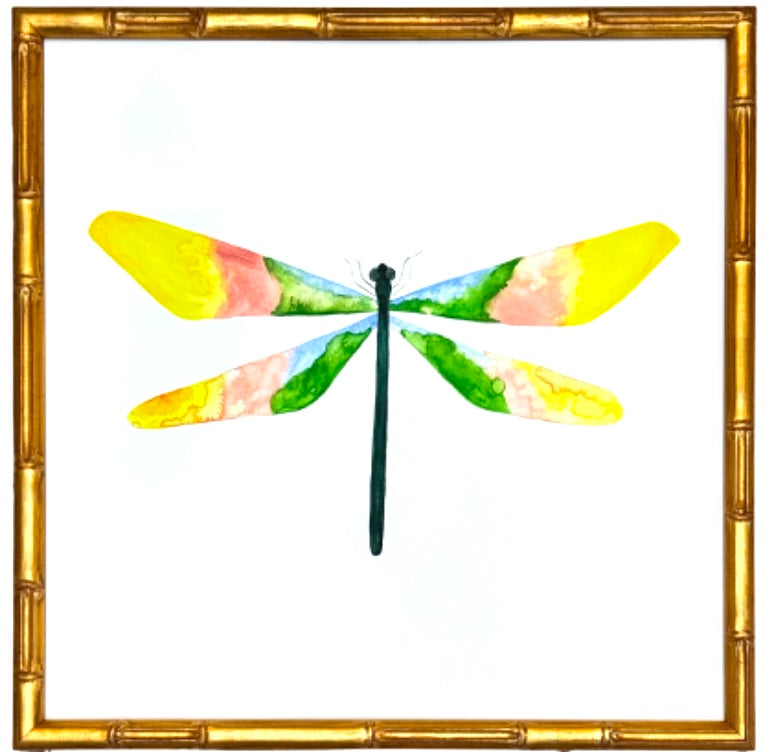 Dragonfly no.1