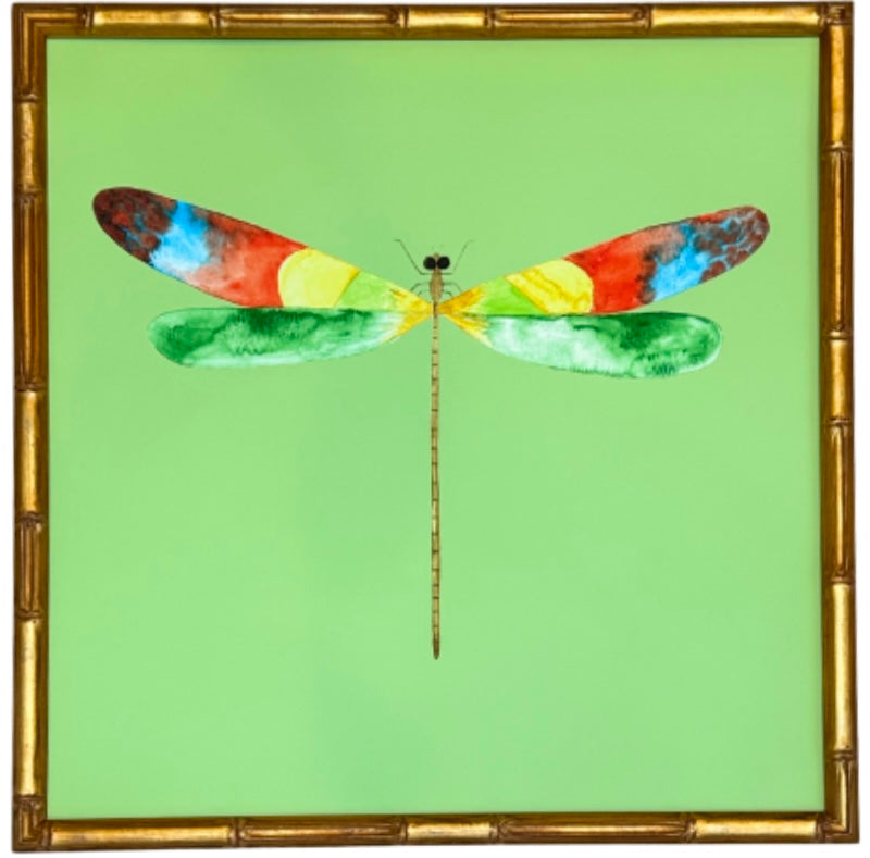 Colorful Dragonfly no.8