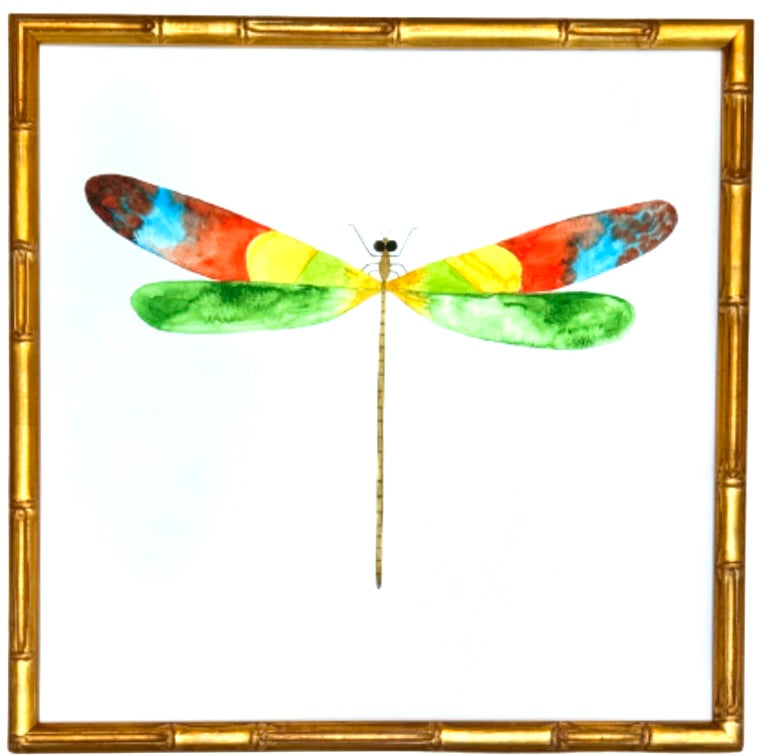 Dragonfly no.6