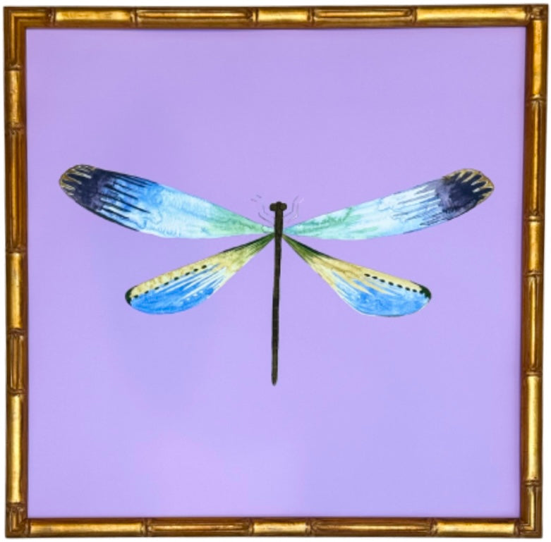 Colorful Dragonfly no.7