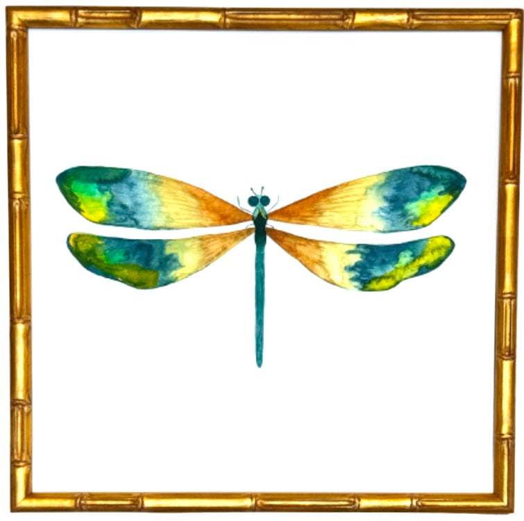Dragonfly no.2