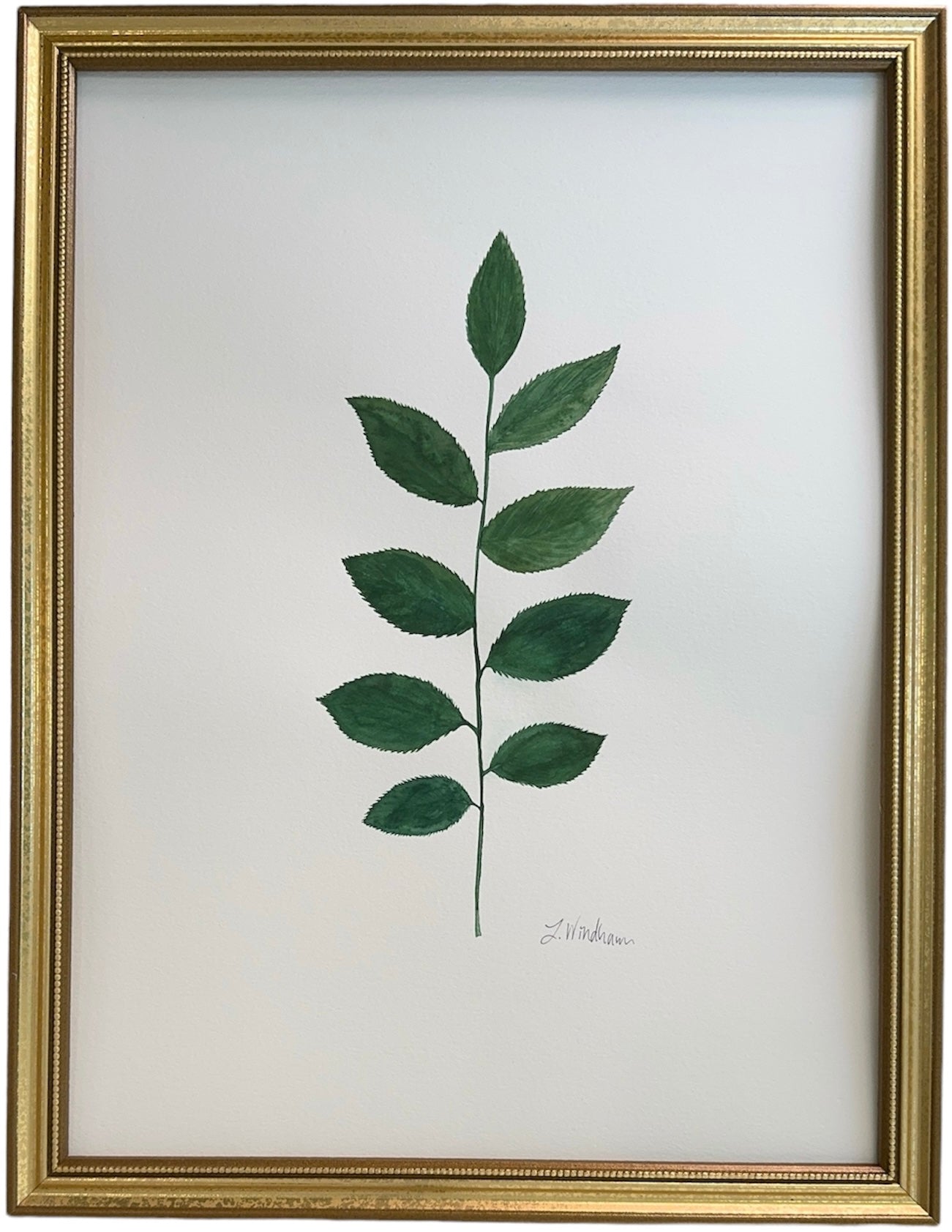 Botanical olive green no.2