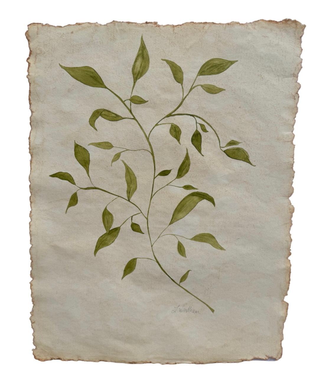 Botanical leaf no.1