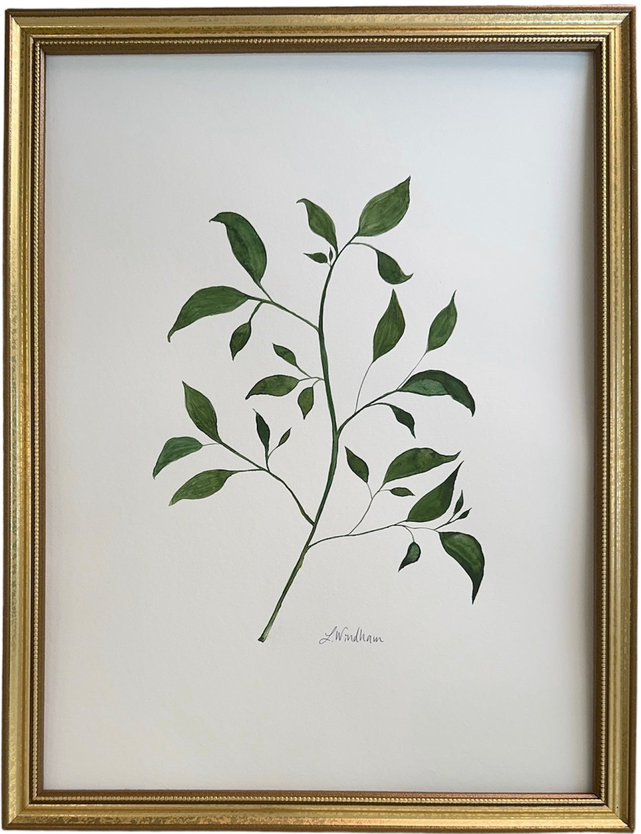 Botanical olive green no.4