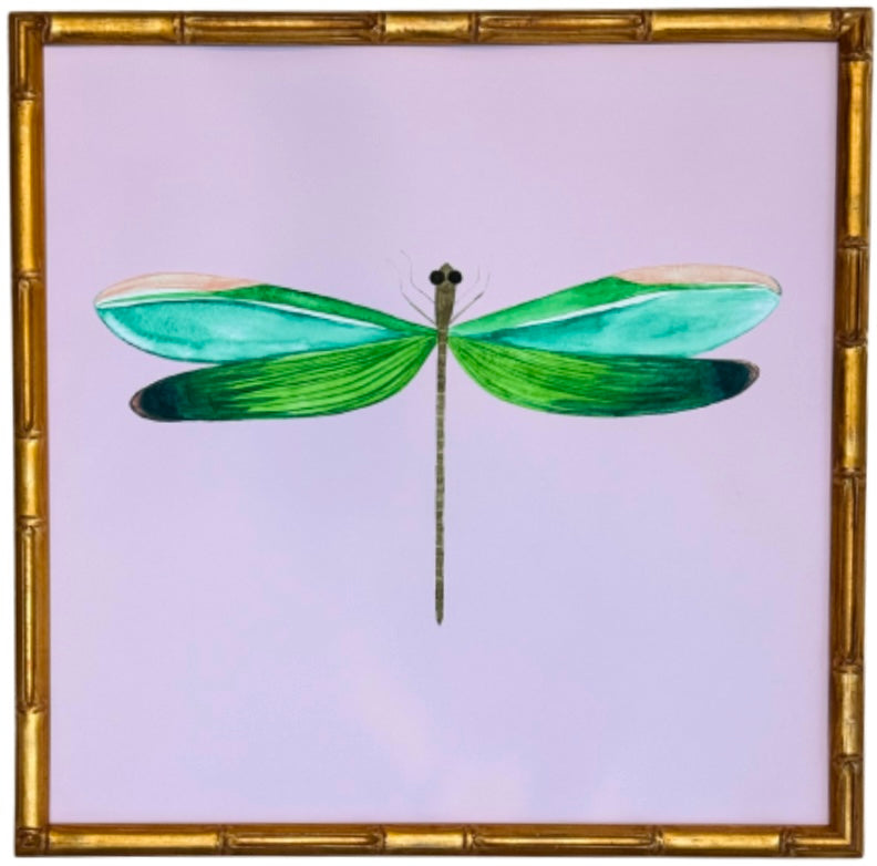 Colorful Dragonfly no.1