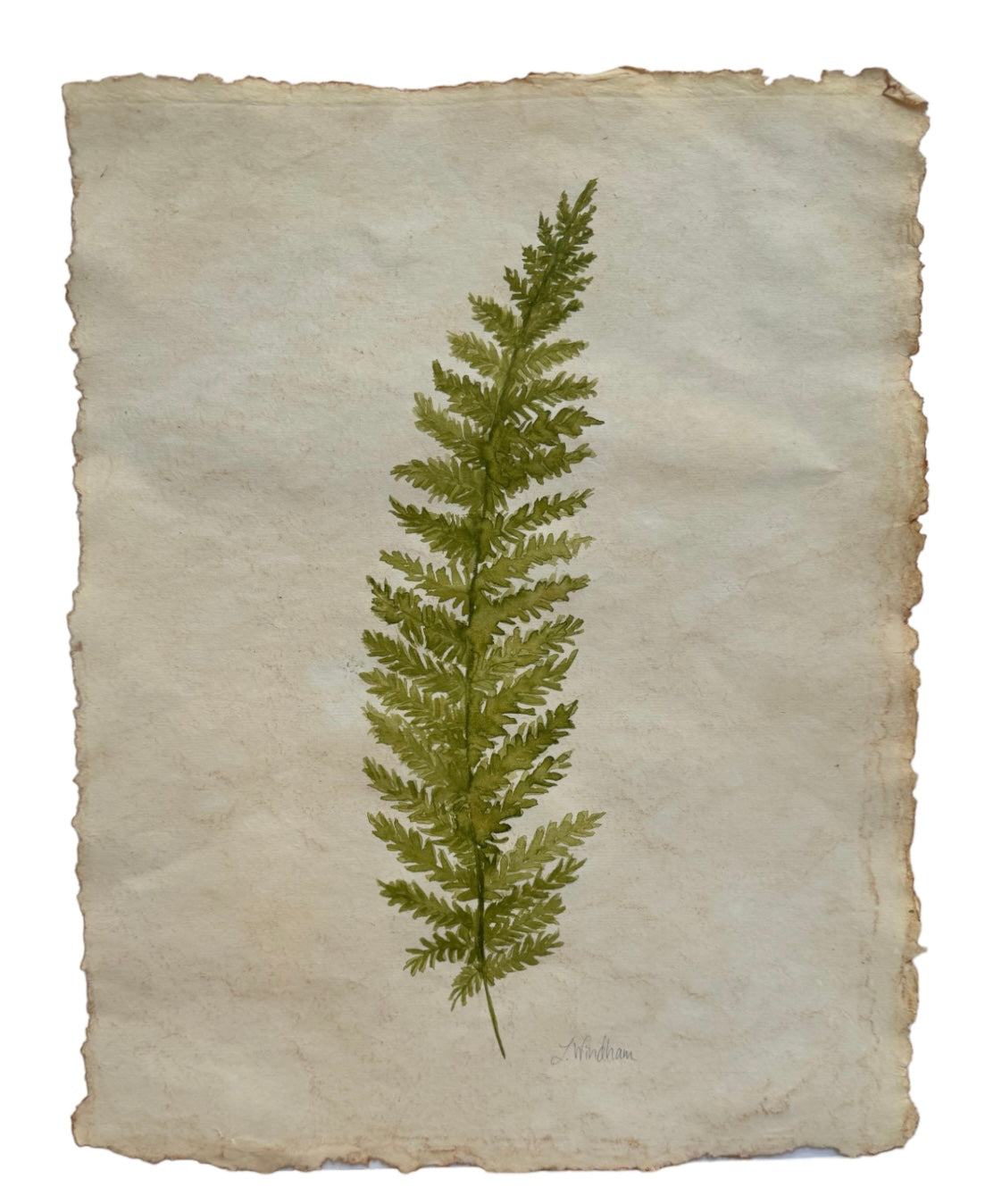 Botanical leaf no.2