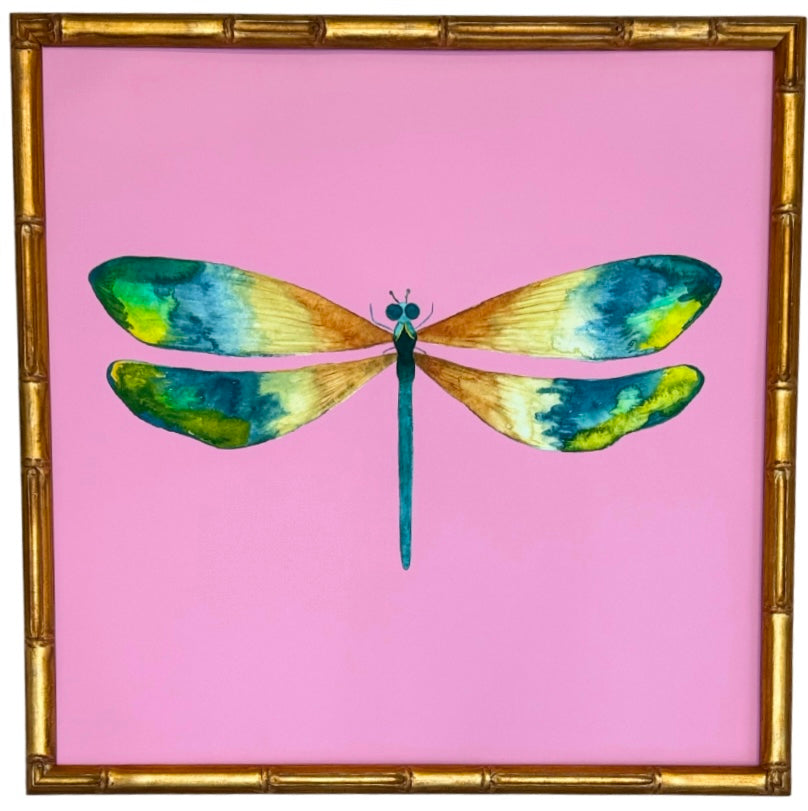 Colorful Dragonfly no.5