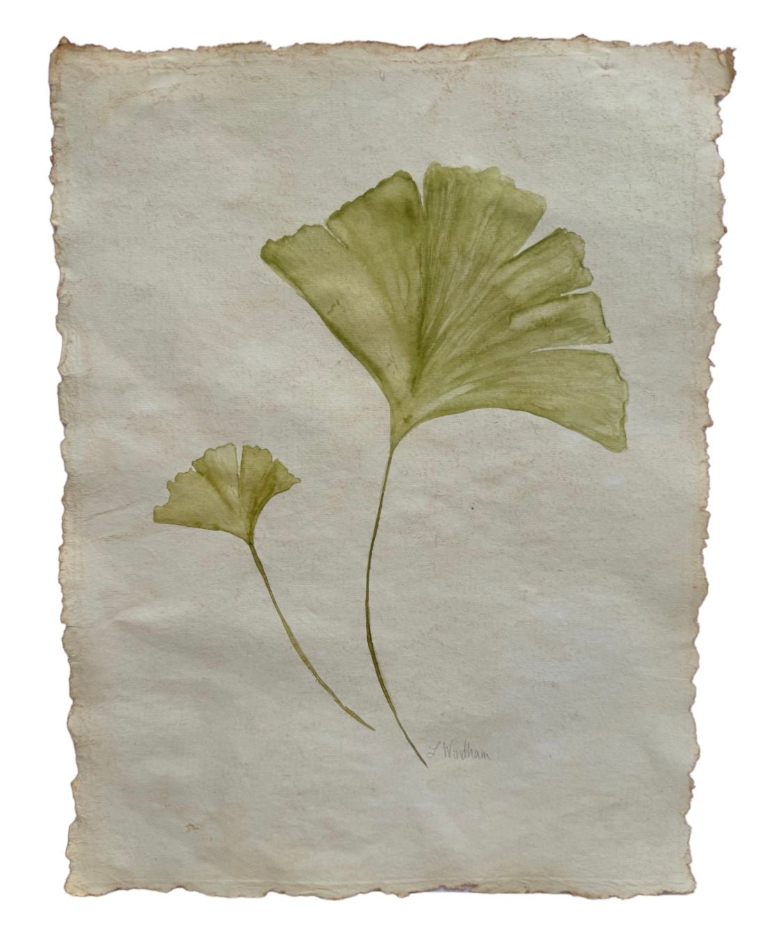 Botanical leaf no.6