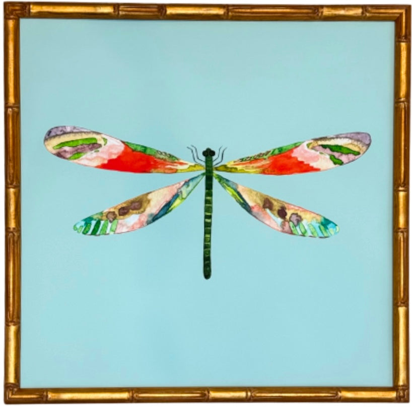 Colorful Dragonfly no.6