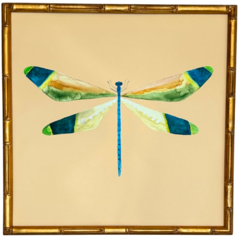 Colorful Dragonfly no.2